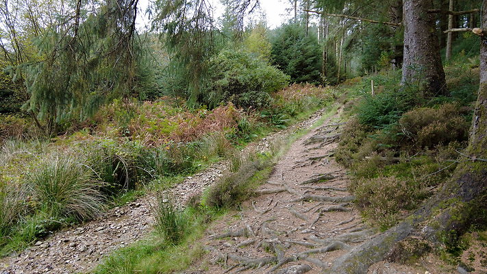 DentFell057 DentFell057