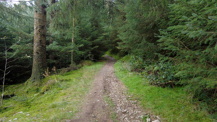 DentFell052 DentFell052