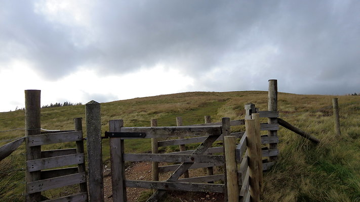 DentFell028 DentFell028