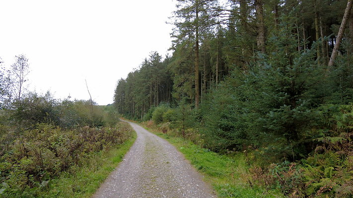 DentFell065 DentFell065