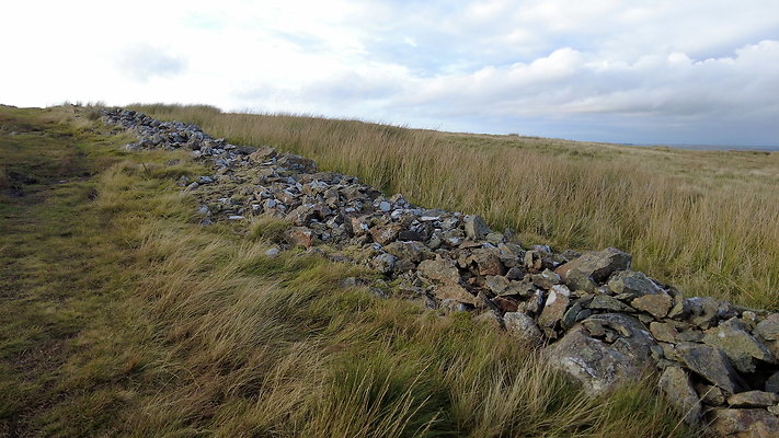 DentFell011 DentFell011