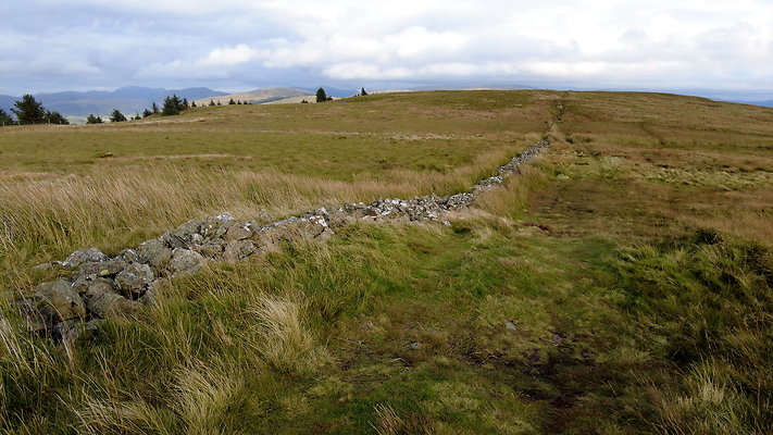 DentFell012 DentFell012