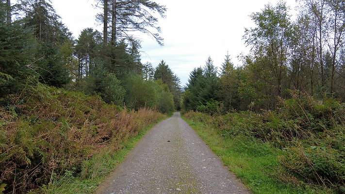 DentFell066 DentFell066