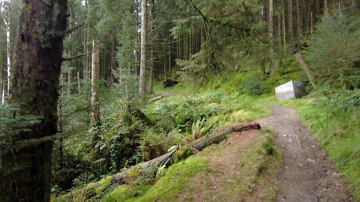 DentFell049 DentFell049