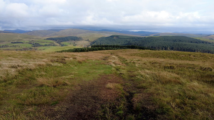 DentFell020 DentFell020