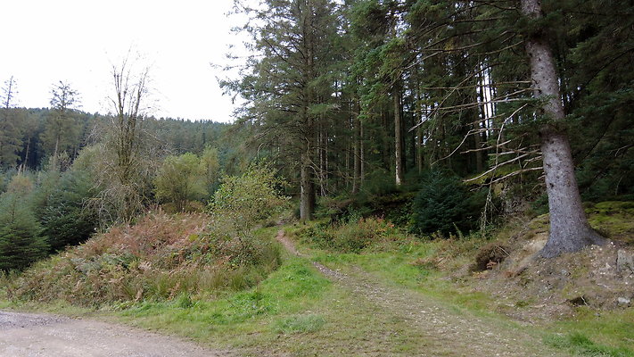 DentFell059 DentFell059