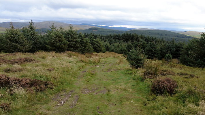 DentFell031 DentFell031