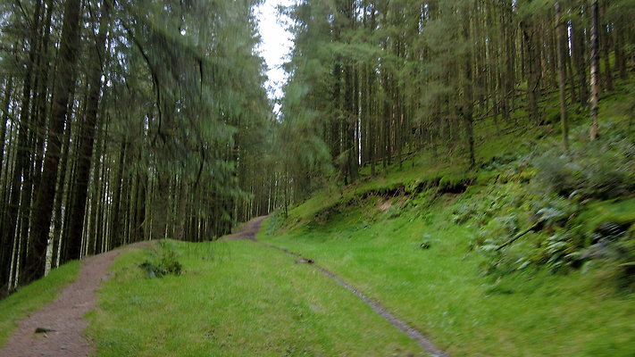 DentFell039 DentFell039