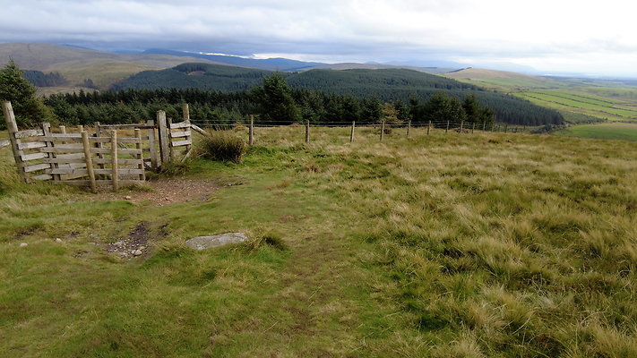 DentFell025 DentFell025