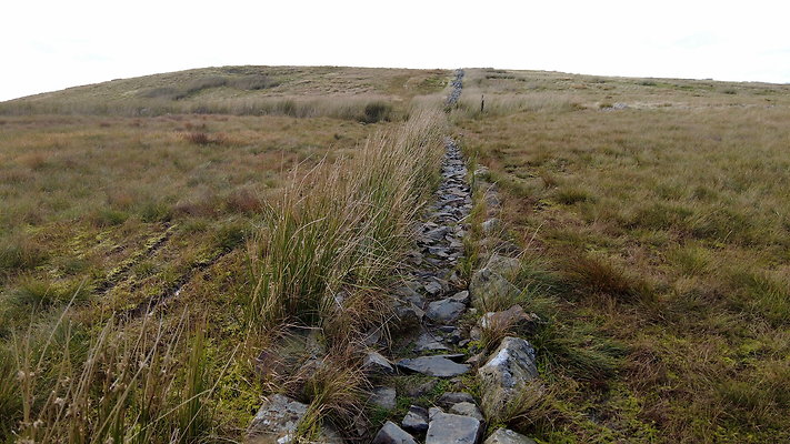 DentFell013 DentFell013