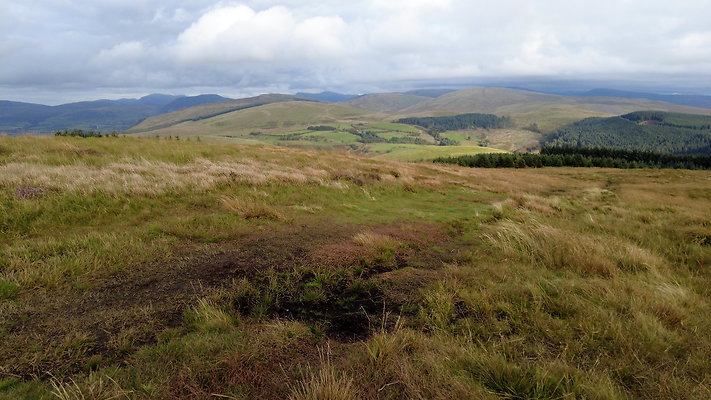 DentFell018 DentFell018