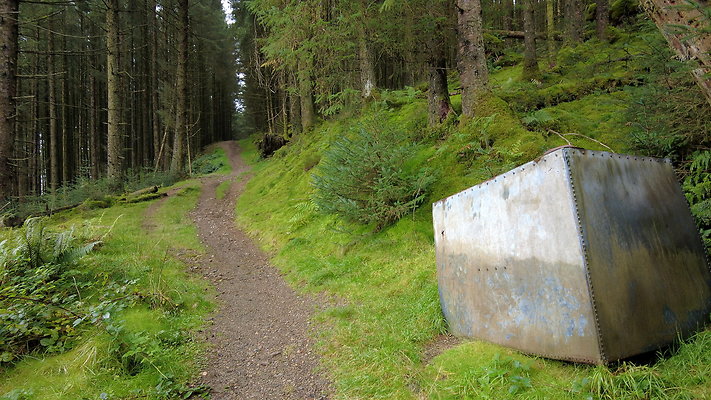 DentFell048 DentFell048