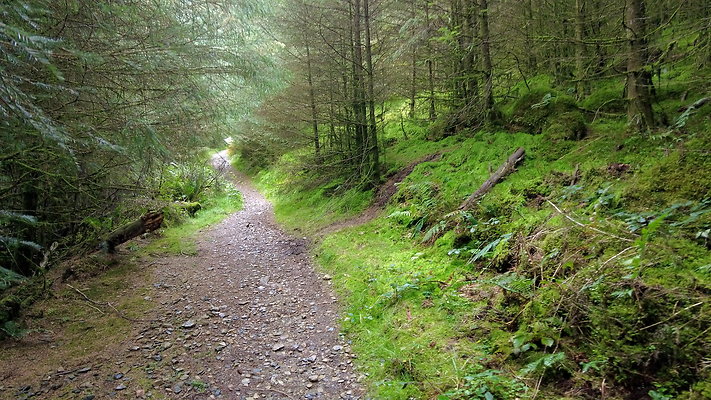 DentFell051 DentFell051