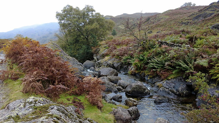 FarEasedaletoGrasmere089 FarEasedaletoGrasmere089