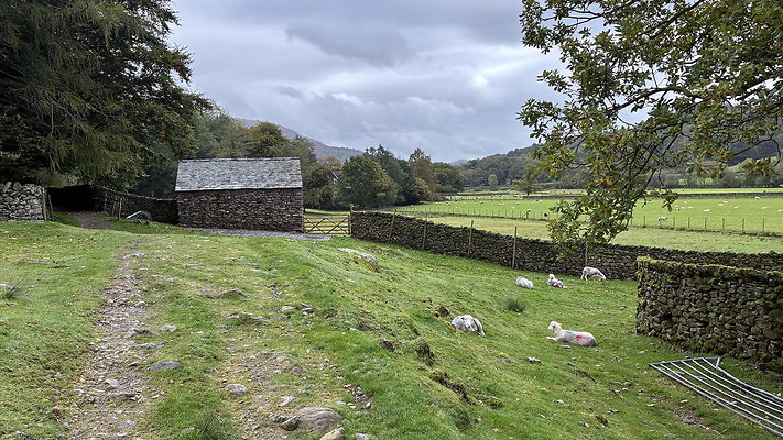FarEasedaletoGrasmere151 FarEasedaletoGrasmere151