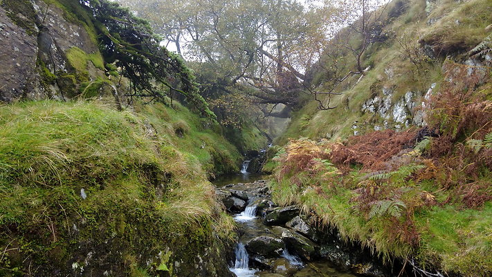 FarEasedaletoGrasmere046 FarEasedaletoGrasmere046