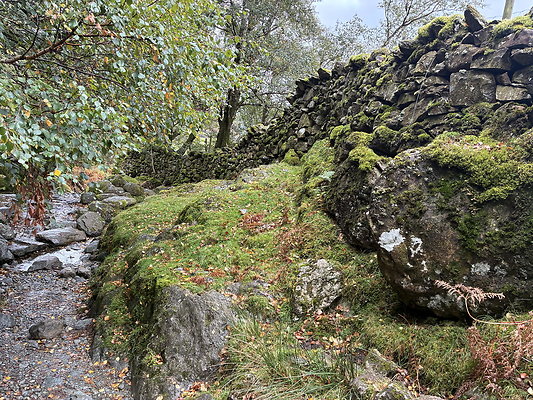FarEasedaletoGrasmere104 FarEasedaletoGrasmere104