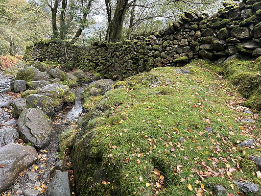 FarEasedaletoGrasmere106 FarEasedaletoGrasmere106