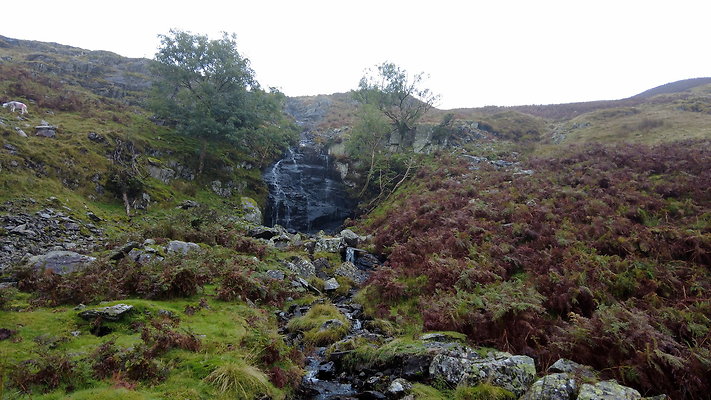 FarEasedaletoGrasmere040 FarEasedaletoGrasmere040