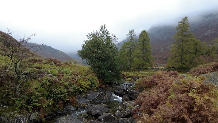 FarEasedaletoGrasmere091 FarEasedaletoGrasmere091