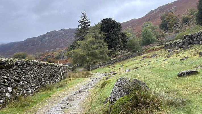 FarEasedaletoGrasmere137 FarEasedaletoGrasmere137