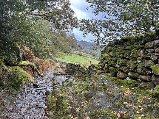 FarEasedaletoGrasmere110 FarEasedaletoGrasmere110