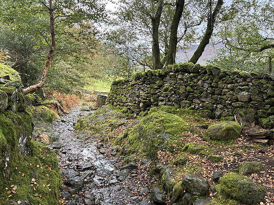 FarEasedaletoGrasmere109 FarEasedaletoGrasmere109