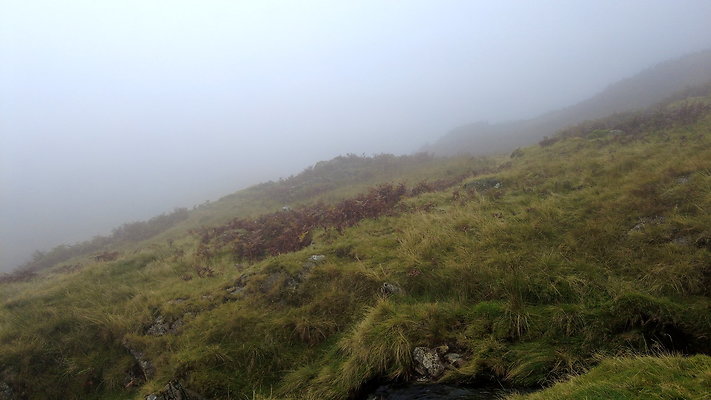 FarEasedaletoGrasmere033 FarEasedaletoGrasmere033