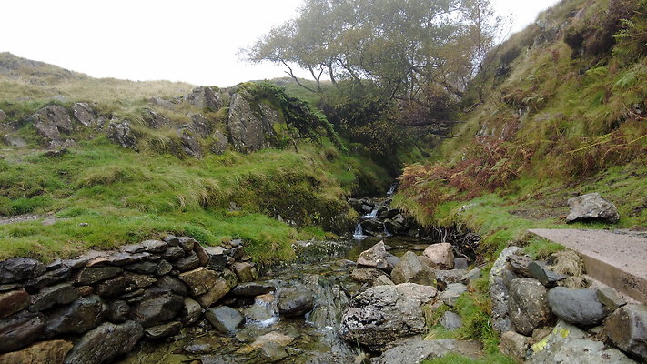 FarEasedaletoGrasmere044 FarEasedaletoGrasmere044