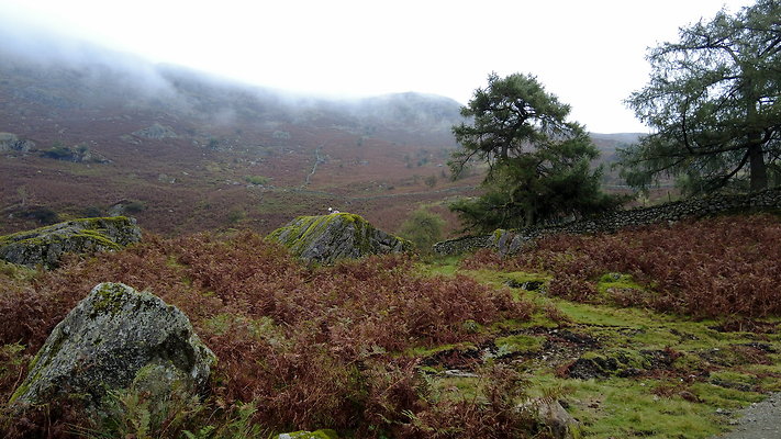 FarEasedaletoGrasmere084 FarEasedaletoGrasmere084