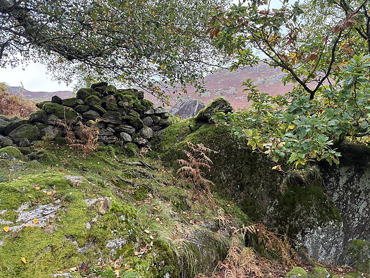 FarEasedaletoGrasmere103 FarEasedaletoGrasmere103