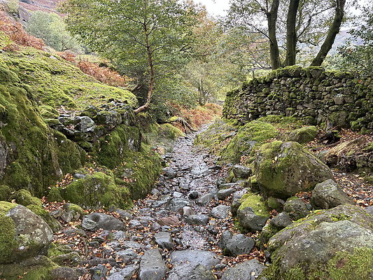 FarEasedaletoGrasmere107 FarEasedaletoGrasmere107