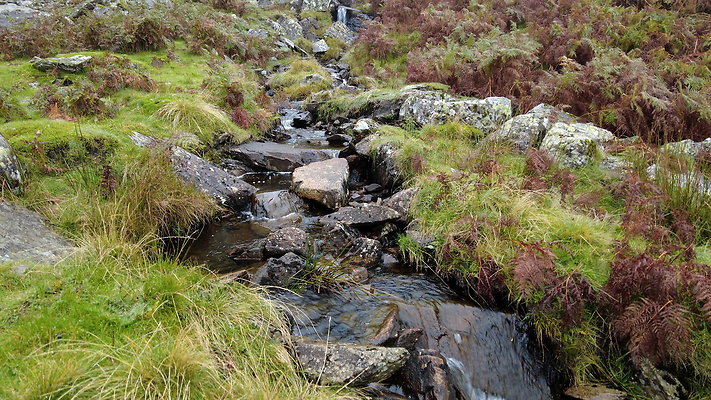 FarEasedaletoGrasmere042 FarEasedaletoGrasmere042