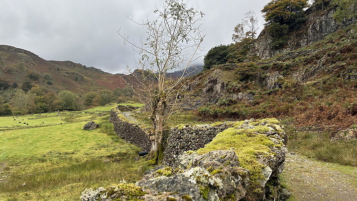 FarEasedaletoGrasmere149 FarEasedaletoGrasmere149