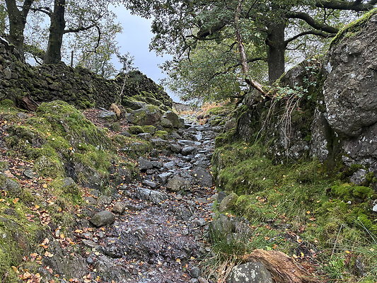 FarEasedaletoGrasmere112 FarEasedaletoGrasmere112