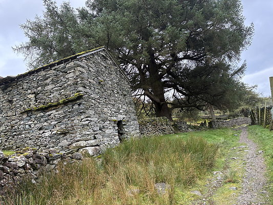 FarEasedaletoGrasmere124 FarEasedaletoGrasmere124