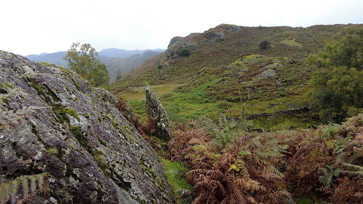 FarEasedaletoGrasmere095 FarEasedaletoGrasmere095