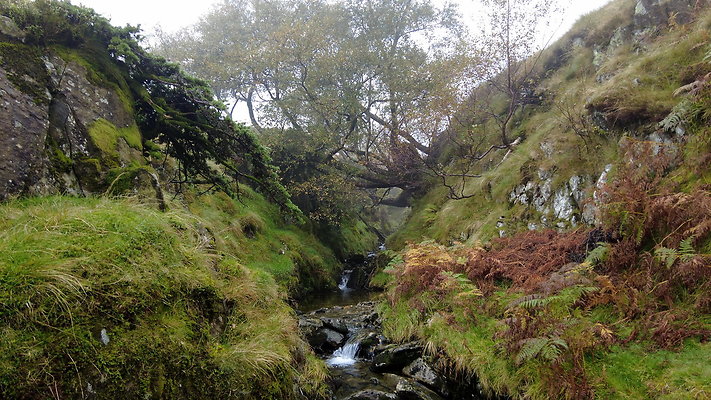 FarEasedaletoGrasmere045 FarEasedaletoGrasmere045