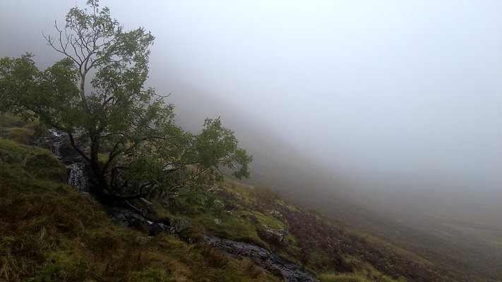 FarEasedaletoGrasmere047 FarEasedaletoGrasmere047