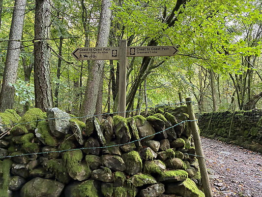 FarEasedaletoGrasmere154 FarEasedaletoGrasmere154