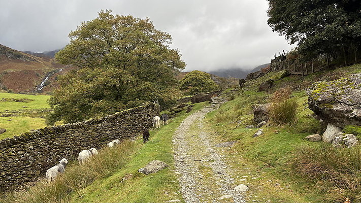 FarEasedaletoGrasmere145 FarEasedaletoGrasmere145
