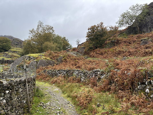FarEasedaletoGrasmere120 FarEasedaletoGrasmere120