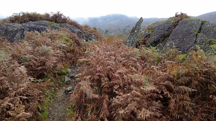 FarEasedaletoGrasmere097 FarEasedaletoGrasmere097