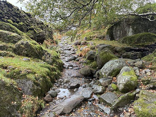 FarEasedaletoGrasmere108 FarEasedaletoGrasmere108