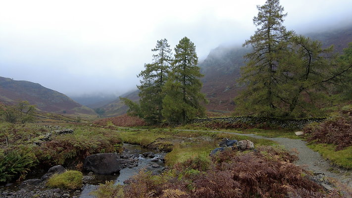 FarEasedaletoGrasmere088 FarEasedaletoGrasmere088