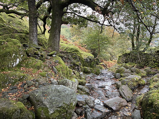 FarEasedaletoGrasmere105 FarEasedaletoGrasmere105
