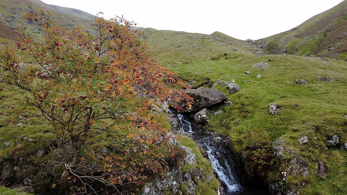 BorrowdaletoLiningCrag039 BorrowdaletoLiningCrag039