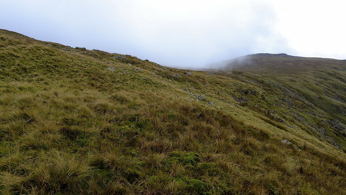 BorrowdaletoLiningCrag078 BorrowdaletoLiningCrag078
