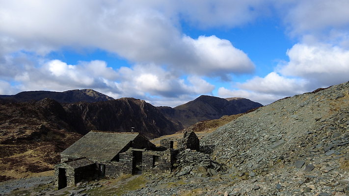 Honistertops9 Honistertops9