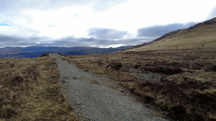 Honistertops4 Honistertops4